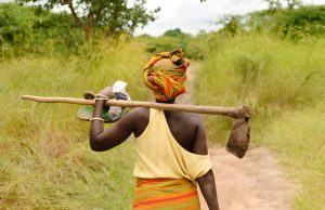 Agricultural Investments Aim to Boost Food Security